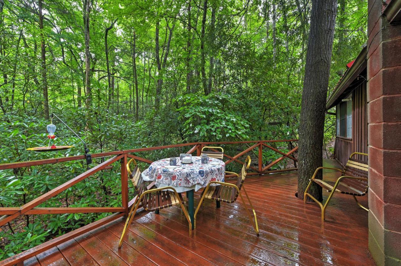 Serene Creekside Cottage Near Asheville Fire Pit Candler Eksteriør billede