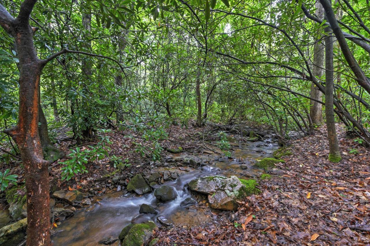 Serene Creekside Cottage Near Asheville Fire Pit Candler Eksteriør billede